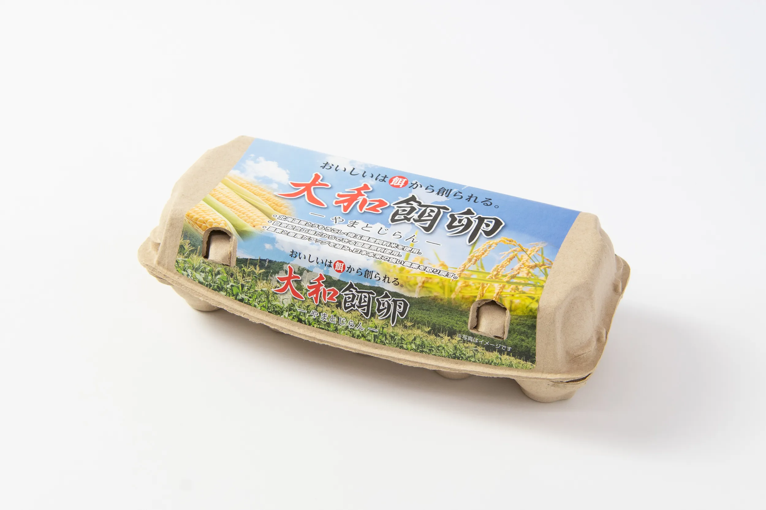 A screenshot of undefined