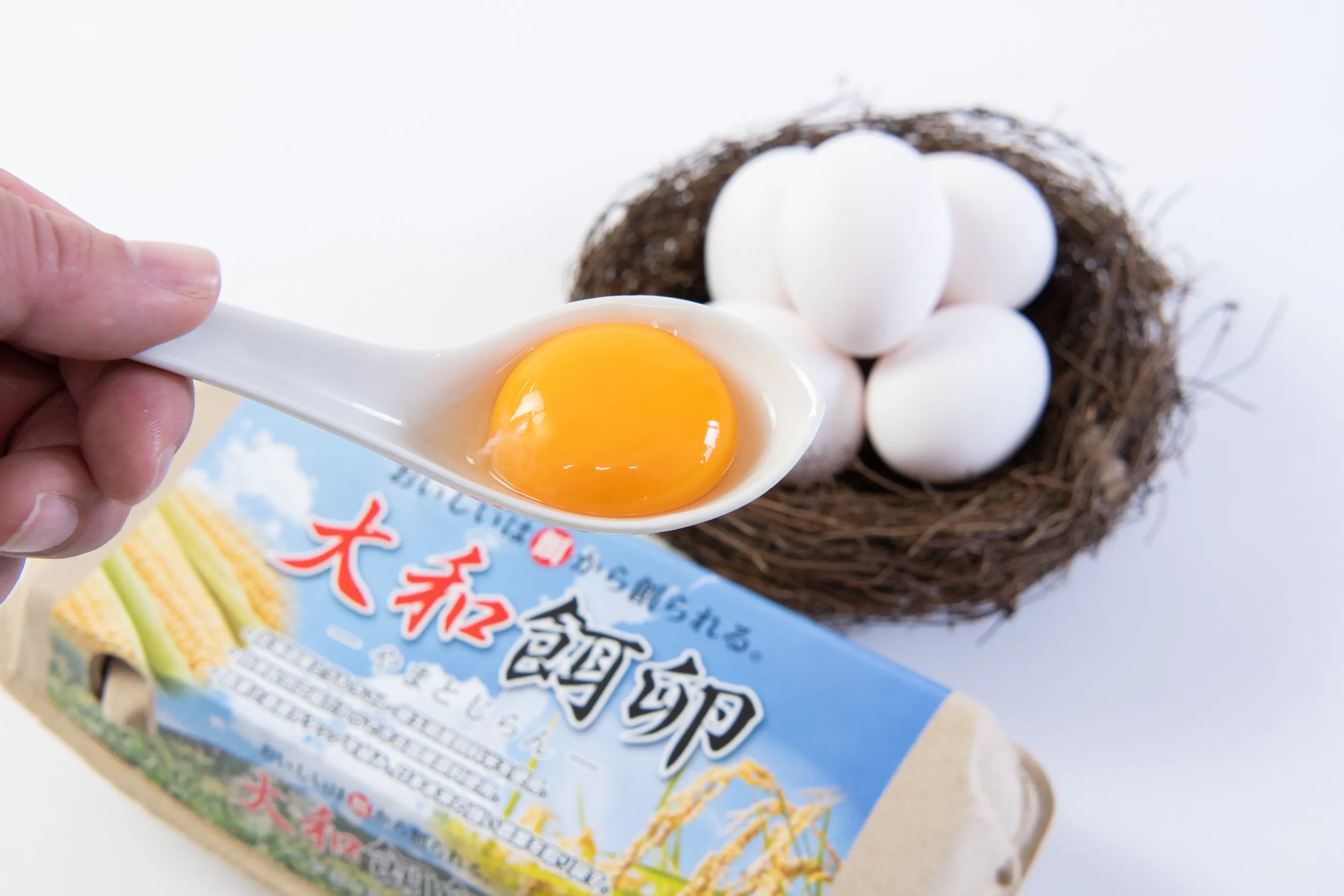 A screenshot of undefined