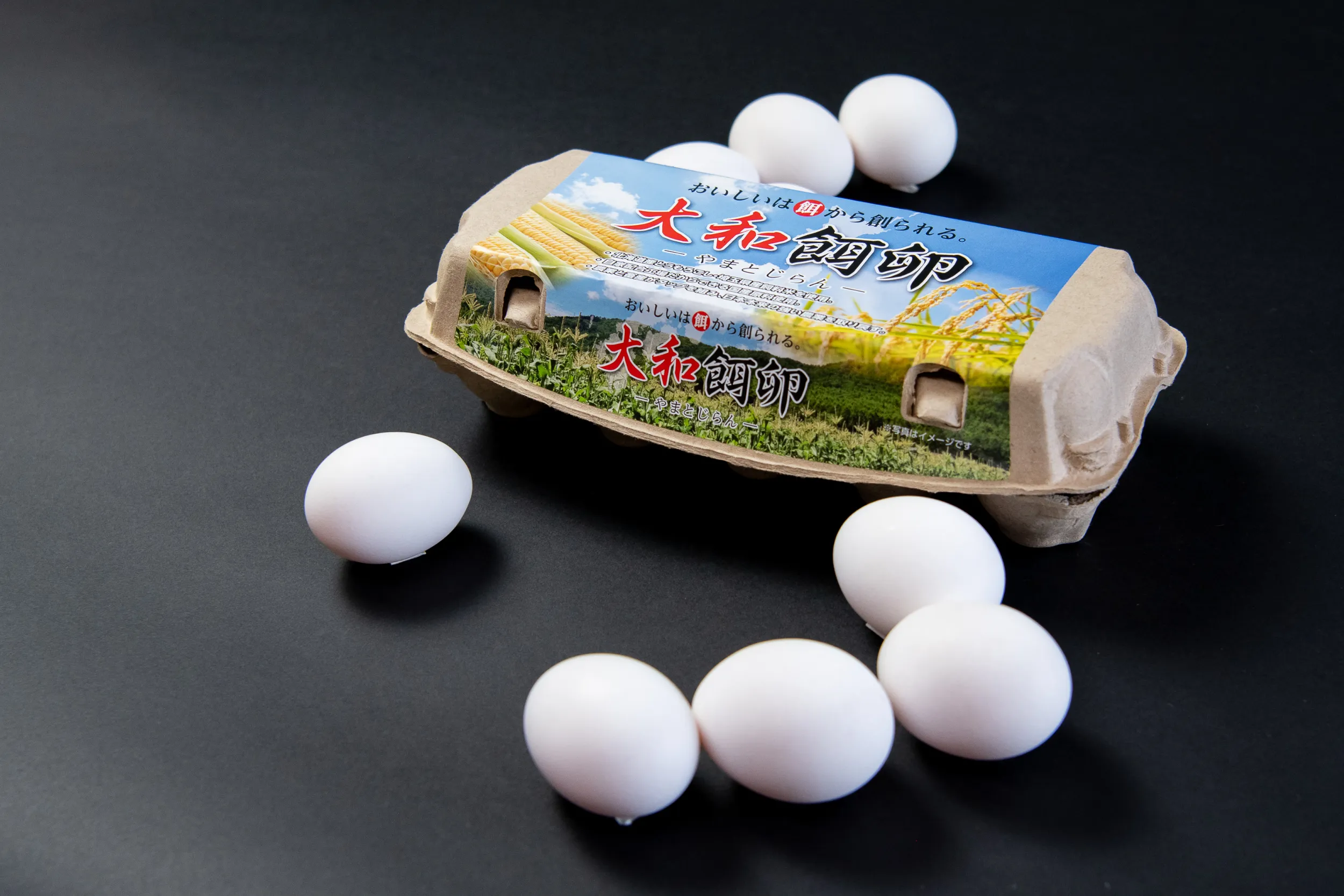 A screenshot of undefined