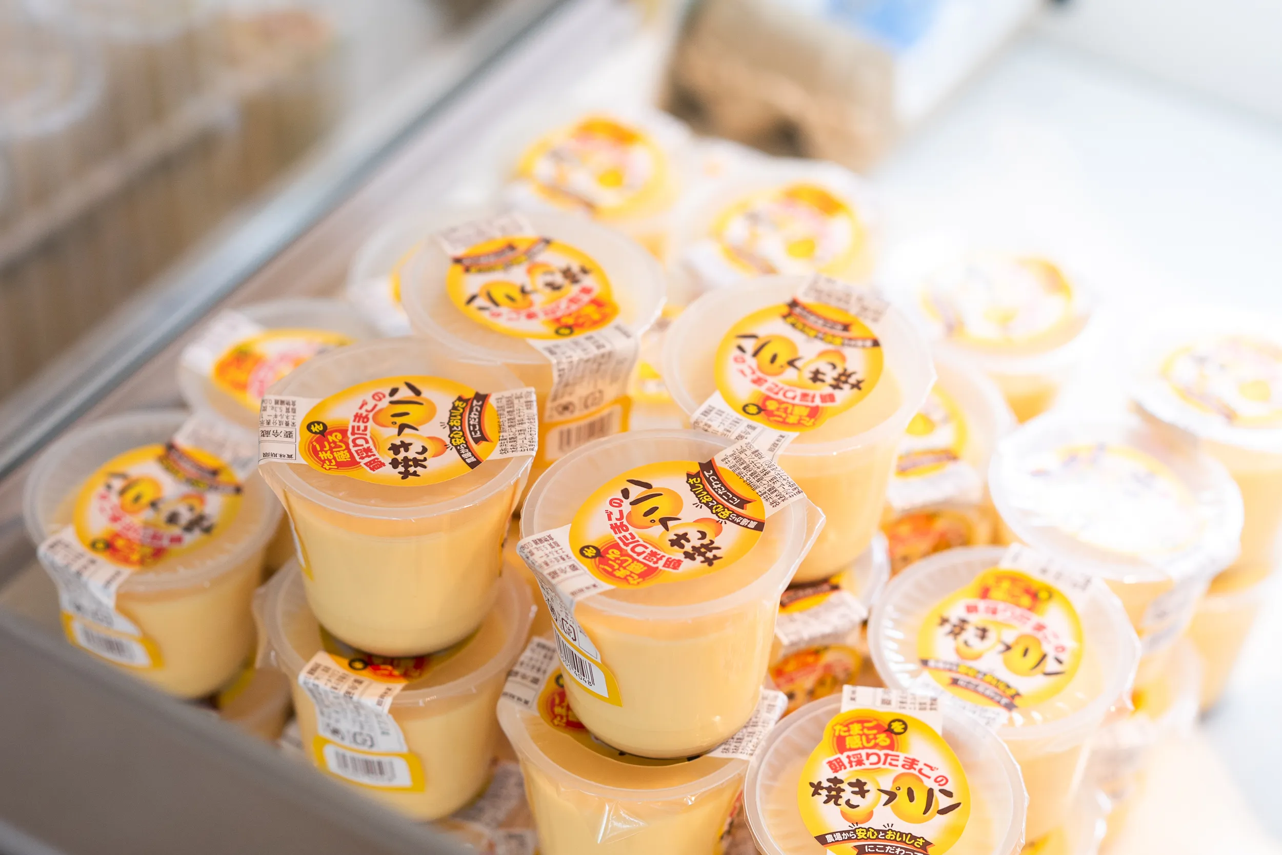 A screenshot of undefined